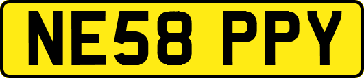 NE58PPY