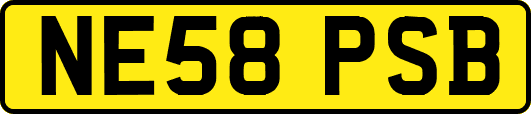 NE58PSB