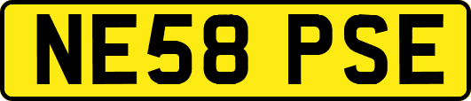 NE58PSE