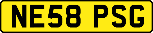 NE58PSG