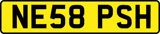 NE58PSH