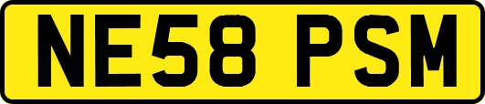NE58PSM