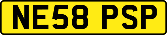 NE58PSP