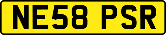 NE58PSR