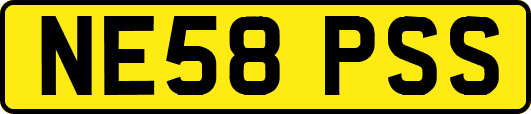 NE58PSS