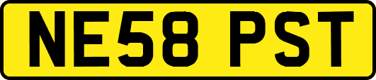 NE58PST