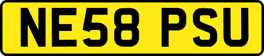 NE58PSU