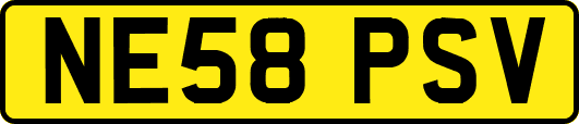 NE58PSV