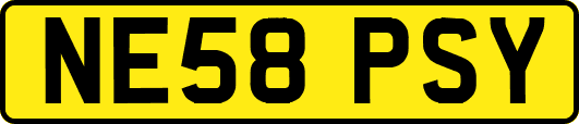 NE58PSY