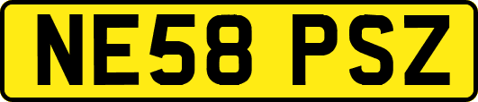 NE58PSZ