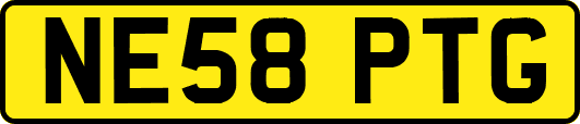 NE58PTG