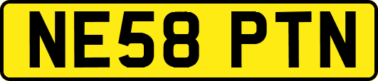 NE58PTN