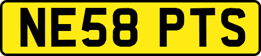 NE58PTS