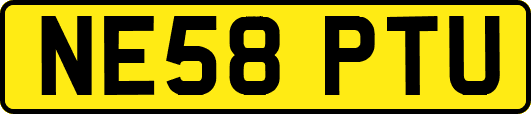 NE58PTU
