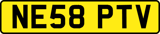 NE58PTV