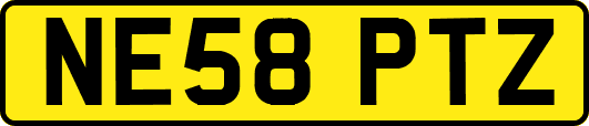 NE58PTZ