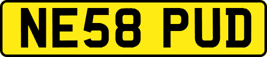 NE58PUD