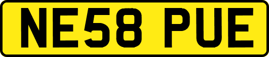 NE58PUE