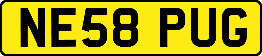 NE58PUG