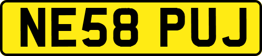 NE58PUJ