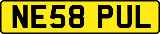 NE58PUL