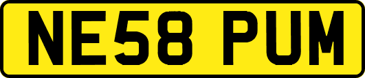 NE58PUM