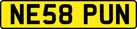 NE58PUN