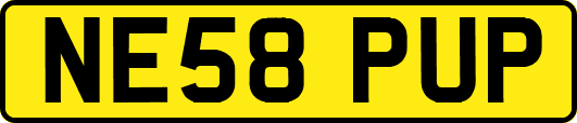 NE58PUP