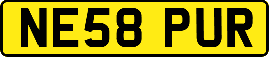 NE58PUR