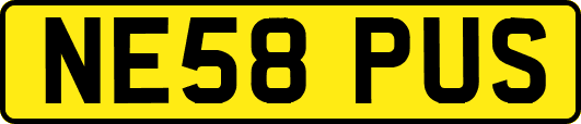 NE58PUS