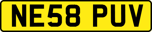 NE58PUV