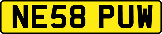 NE58PUW