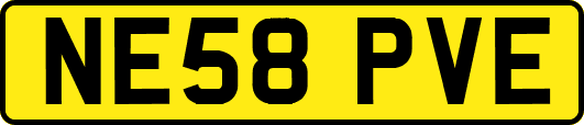 NE58PVE