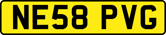 NE58PVG