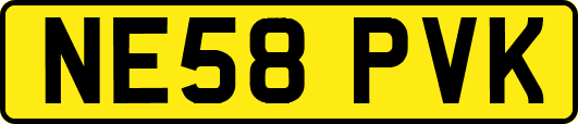 NE58PVK