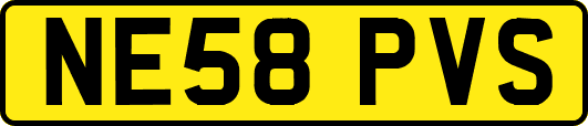 NE58PVS