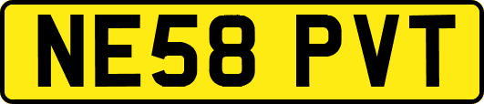 NE58PVT
