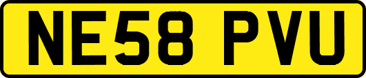 NE58PVU