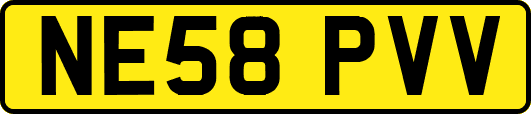 NE58PVV