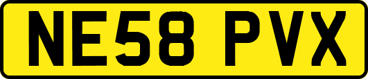NE58PVX
