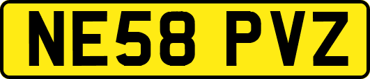 NE58PVZ