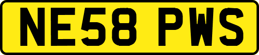 NE58PWS