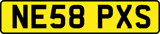 NE58PXS