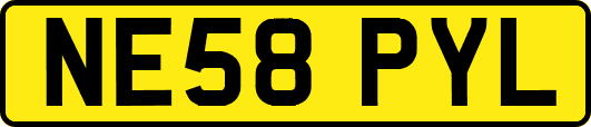 NE58PYL
