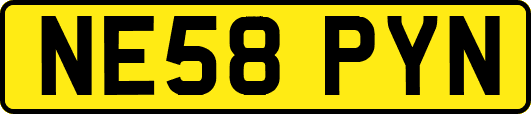 NE58PYN