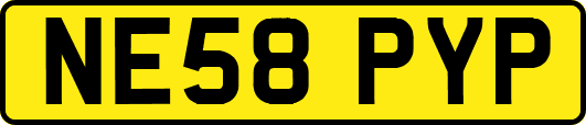 NE58PYP