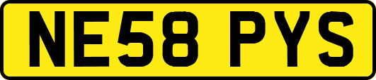 NE58PYS