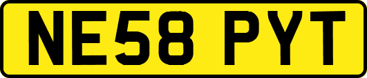 NE58PYT
