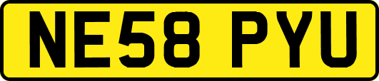 NE58PYU