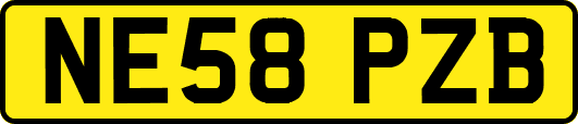 NE58PZB